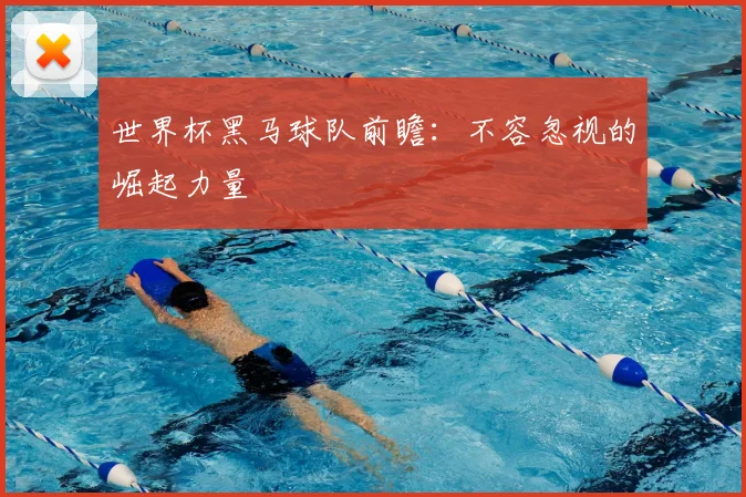 世界杯黑马球队前瞻:不容忽视的崛起力量