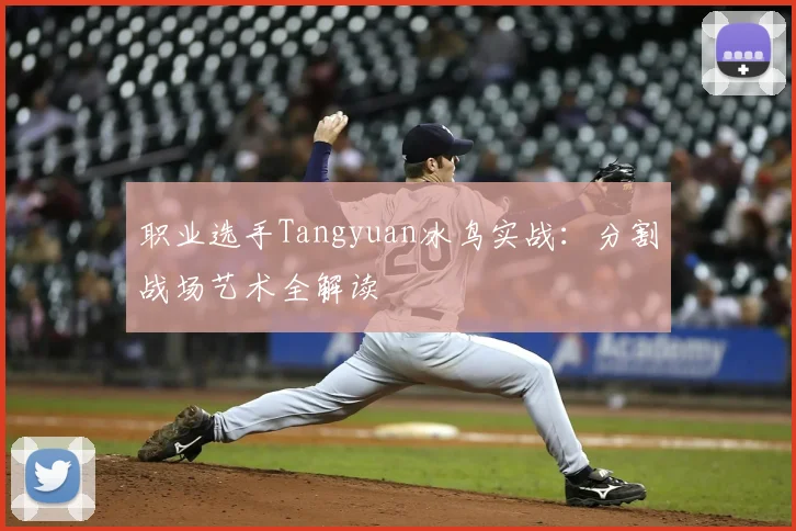 职业选手Tangyuan冰鸟实战:分割战场艺术全解读